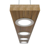 LightRay Linear Pendant Light Fixture  - Prism One